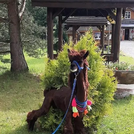 Wrzosowa Przystan Dlugopole Dolne