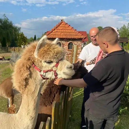 Wrzosowa Przystan